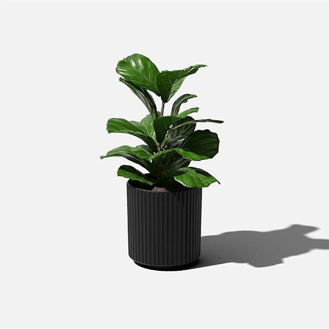 Veradek Demi Series Round Planter for Porch, Patio, Backyard | Durable Plastic-Concrete Material | Modern Décor for Tall Plants, Flowers VeradekOutdoor
