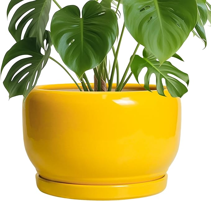 SQOWL 10 Inch Plant Pot - Ceramic Planter with Drainage Hole and Saucer, Modern Large Flower Pot for Indoor Outdoor Plants, Decorative Round Planter, Home Decor, Gifts for Gardeners Woman, Yellow SQOWL