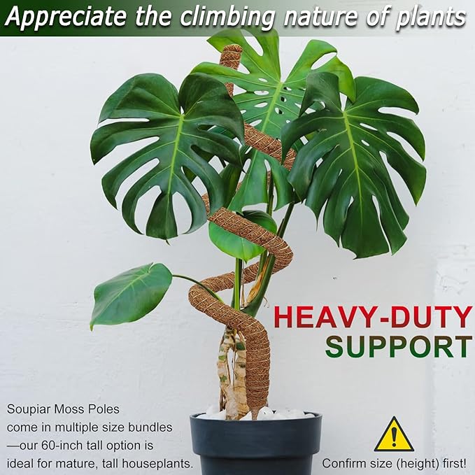 Soupiar 2 Pack 60'' Bendable Moss Pole for Monstera & Pothos - Tall Handmade Coco Coir Plant Support Stakes for Large Climbing Indoor Plants, Potted Houseplant Trellis Accessories Soupiar