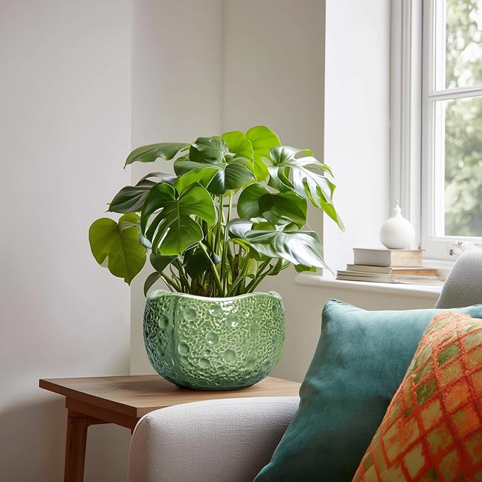 8 Inch Plant Pot - Ceramic Pots for Plants with Drainage Hole, Round Decorative Plant Pots for Indoor Outdoor, Modern Unique Flower Pot, Office Decor, Garden Gifts, Green Thirtypot
