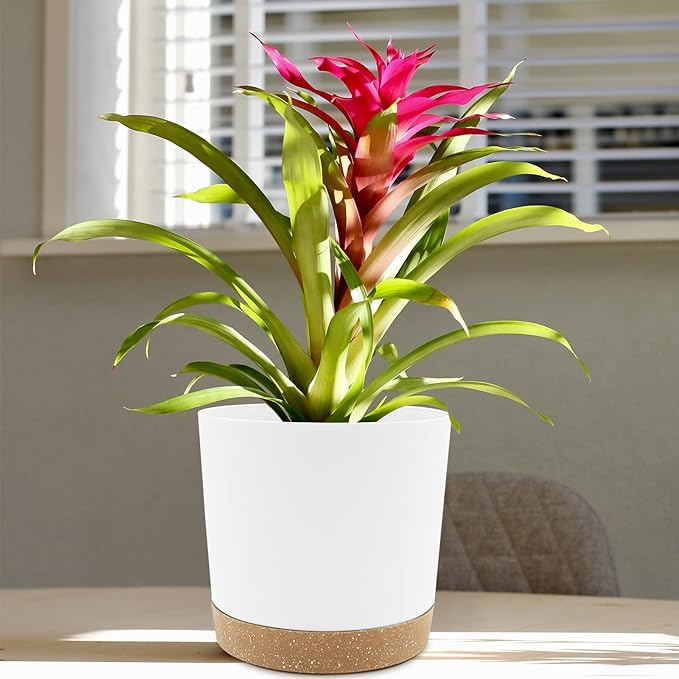 QCQHDU 8 inch Plant Pot, 2 Pack Planters for Indoor Plants with Drainage Holes & Saucer, Outdoor Flower Pots Home Garden Modern Decor QCQHDU