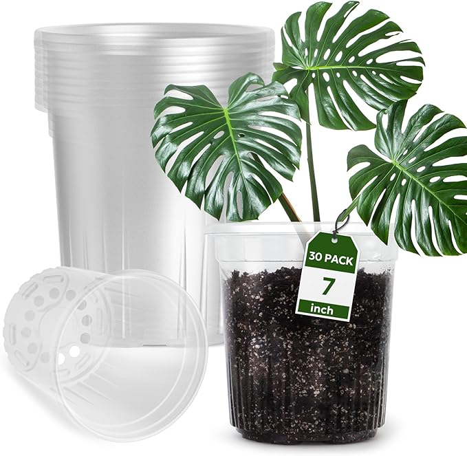30 Packs 1 Gallon Reinforced Clear Nursery Pots with Drainage Holes, 7 Inch Transparent Plastic Plant Pot Seedling Planter for Vegetable Propagation, Root Cutting, Seed Starting Bluepro