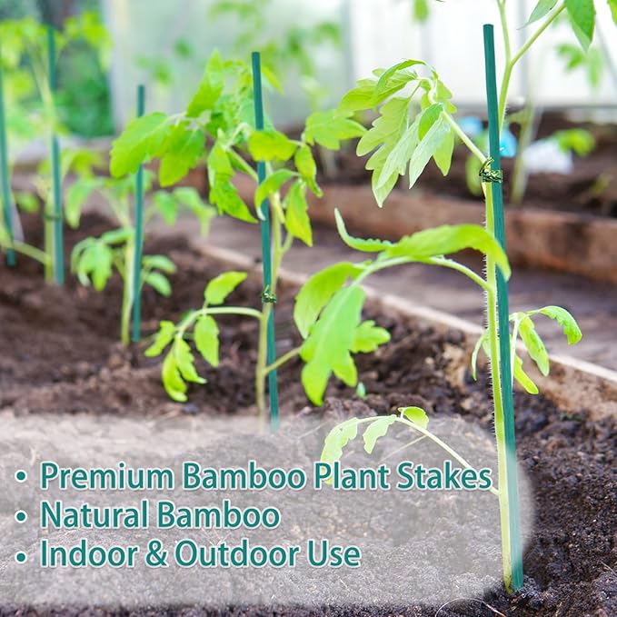 Bamboo Plant Stakes 50PCS, 18Inch Natural Bamboo Garden Stakes, Supports Indoor & Outdoor Plants, Straight Style, Green HAINANSTRY
