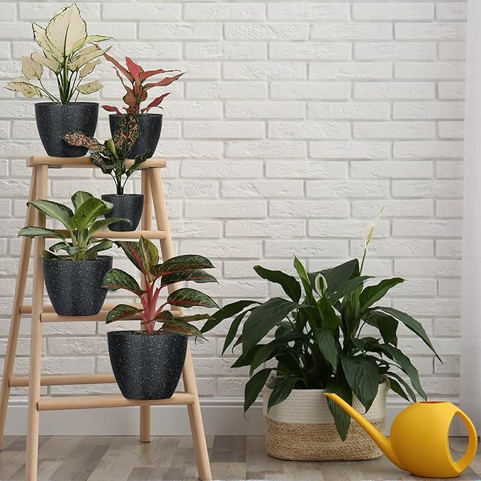 5 Pcs Plant pots, 7.5/6.5/5.7/4.9/4.1 inch Pots for Plants, Flower Pot Indoor Modern Decorative Plant Pot, Plant Pots Indoor with Drainage and Saucer for All House Plants (Drainage Set of 5 Black) LOKEISNA