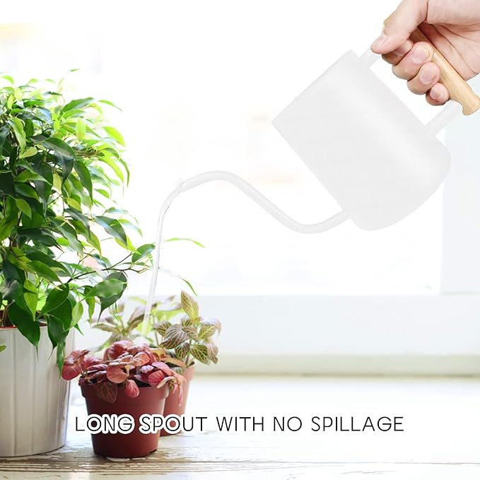 Watering Can Indoor Plants, 35 oz/1000 ml Metal Stainless Steel Watering Can Pot with Long Spout for Indoor House Plants Bonsai Outdoor Garden Flower Decorative (White) Rootora