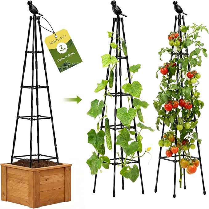 2 Pack Garden Trellis for Climbing Plants Outdoors,65Inch Cucumber Trellis Garden Obelisk Trellis Rustproof Plants Support with Adjustable Heights for Indoor Potted Plants, Vines, Vegetables MQHUAYU