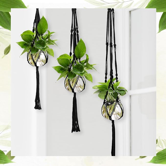 6 Pcs Plastic Plant Propagation with Boho Macrame Hanger Wall Plant Propagation Station Hanging Holder Include Hooks Kit for Indoor Home Garden Office Decor 3 Size (Black) Colingmill