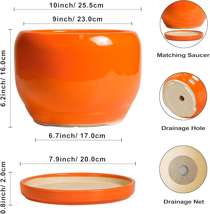 SQOWL Ceramic Planter - 10 Inch Plant Pot with Drainage Hole and Saucer, Round Modern Planter for Indoor Outdoor Plants, Decorative Large Flower Pot, House Decor, Gifts for Women Men, Orange SQOWL