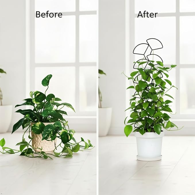 Plant Trellis for Climbing Plants Indoor Outdoor, Trlzey 3 Pack Stackable Metal Trellis - Small Garden Trellis for Potted Plants, Vine Support for Ivy, Flowers, DIY Home Deco Trlzey