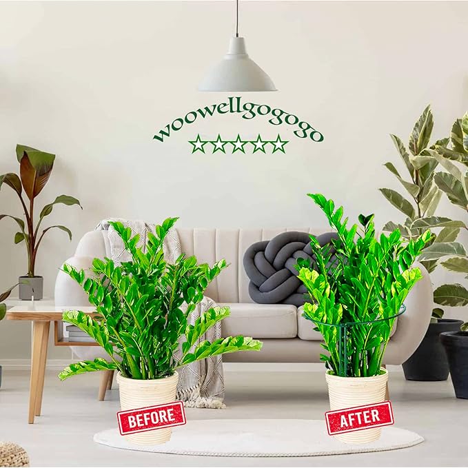8 Pack Snake Plant Support Stakes - Rust-Proof Half Round Peony Stakes and Supports - Ideal for Hydrangeas, Dahlias, ZZ, and More - Indoor and Outdoor Potted Plant Support and Stakes WooWellGoGoGoProducts