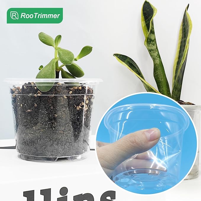 Clear Seedling pots 100-Pack 3.2 Inches Round for Seeds Starter Pots, Seeds Germination Transparent Clean Pots with Drainage Holes(100 Pcs, 3.14Inch) RooTrimmer