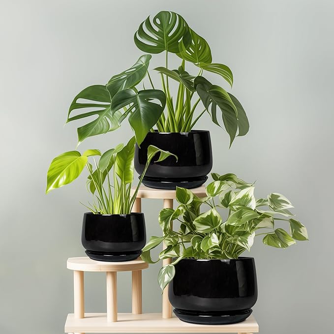 G EPGardening Ceramic Plant Pots - 9 Inch Round Planter, Ceramic Pots for Plants with Drainage and Tray, Flower Indoor Outdoor Planter, Modern Desk Decor, Plant Lover Gifts, Black GEPGardening
