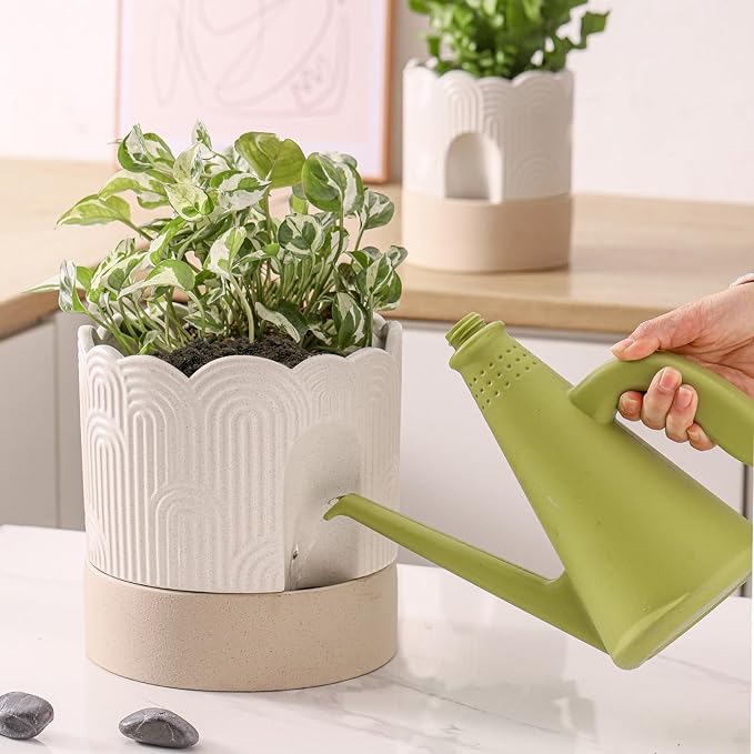 Nihow Self Watering Plant Pot for Indoor Plants : 6 Inch & 8 Inch Ceramic Planter with Drainage Hole & Water Storage - Relief Design Beige & Nature Flower Pot -Set of 2 Nihow