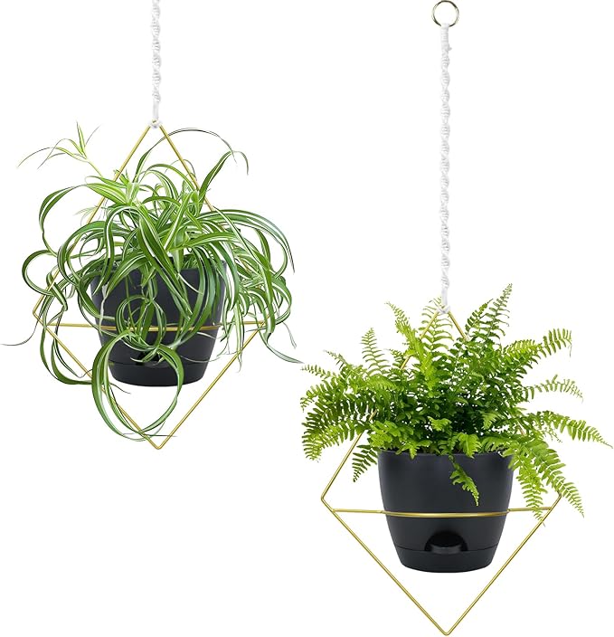 Hanging Planters for Indoor Plants, 2 Set Self Watering Hanging Flower Pots, Modern Hanging Plant Baskets with Metal Plant Holder & 6.5 Inch Plastic Pots for Garden Home Decor (Gold Frame Black Pot) Koalaime