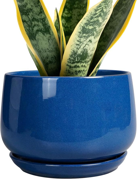 G EPGardening Round Ceramic Plant Pots - 7 Inch Modern Planter with Drainage and Plant Saucer for Indoor Outdoor Flower, Round Office Decor, New Gifts for Home, Blue GEPGardening