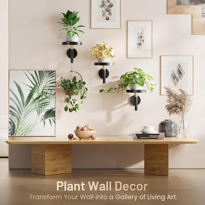 YUOROS 3 Pack Wall Plant Holder Wall Planters for Indoor Plants Hanging Window Plant Shelves Hanger Decor (Black) YUOROS