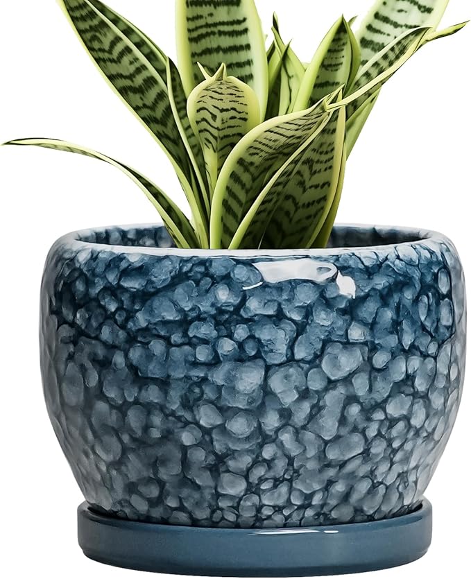 SQOWL Ceramic Pots for Plants - 6 Inch Plant Pot Indoor Outdoor, Ceramic Planter with Drainage Hole and Saucer, Decorative Round Planter, Small Flower Pot, Table Decor, Gifts for Plant Lovers, Blue SQOWL