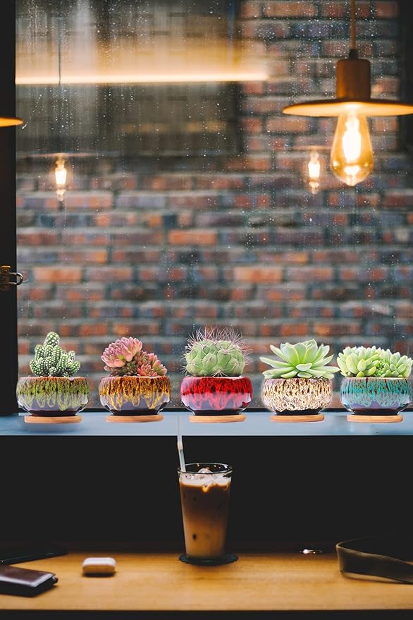 Cute Ceramic Succulent Garden Pots, Planter with Drainage and Attached Saucer, Set of 5 -Plants Not Included (Round) LamDawn