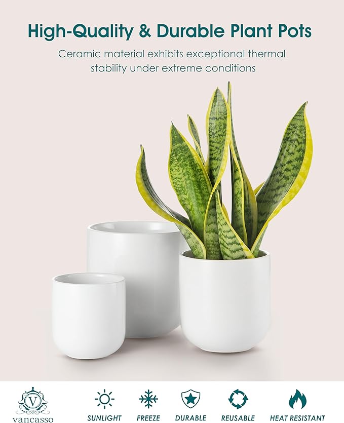 vancasso Ceramic Plant Pots, 4+5+6 inches, Set of 3, Planters with Drainage Hole, Flower Pots Planters Pots for Indoor Plants, Modern Indoor Decorative Garden Pot, Home Decor, White vancasso