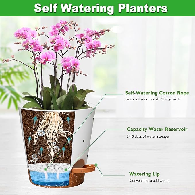 Orchid Pots with Holes, 6 Inch Self Watering Orchid Pot 2 Pack Plastic Plant Pots for Orchid, Flower (White+Brown) Vanslogreen