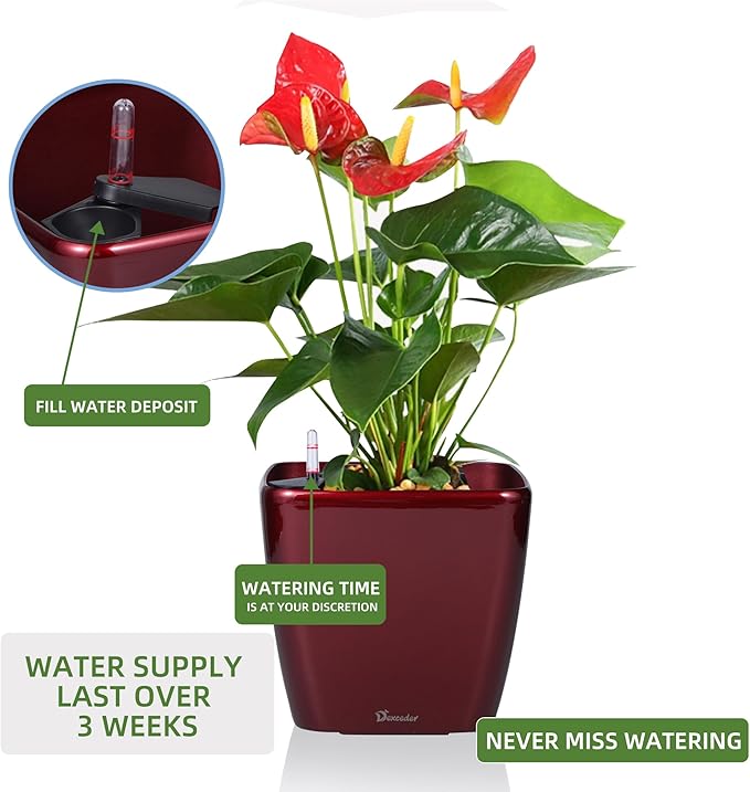 Dexceder 9x8 Self Watering Planter Indoor Outdoor, Inner Mat Design, Thickened Table Flower Plant Pot with Water Level Indicator (Red High Gloss) Dexceder