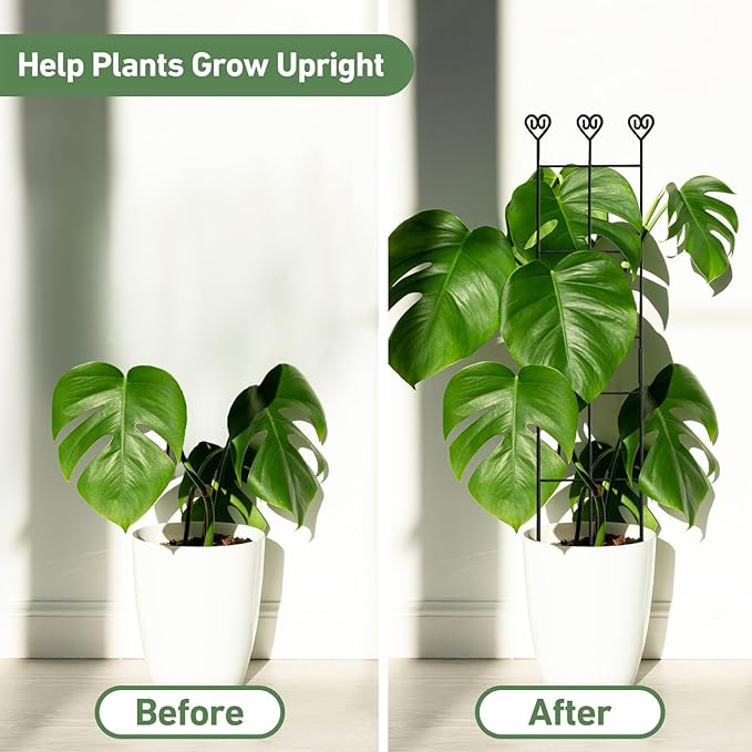 32in Large Indoor Plant Trellis for Climbing Plants, Expandable Metal Garden Trellis for potted plants, Tall Plant Supports for Ivy Pothos Hoya Monstera, 2p Xeeol