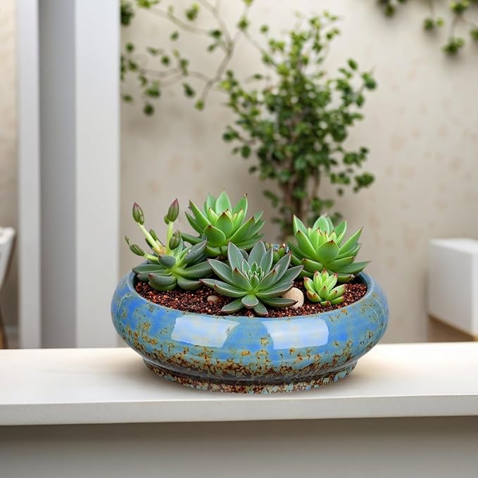 7.3 Inch Succulent Planters Pots Shallow Ceramic Glazed Planter Pots, Lotus Bowl Planter Round Shallow Planter Water Lily Pot for Indoor/Outdoor Plants Decorative (Blue) Rootora