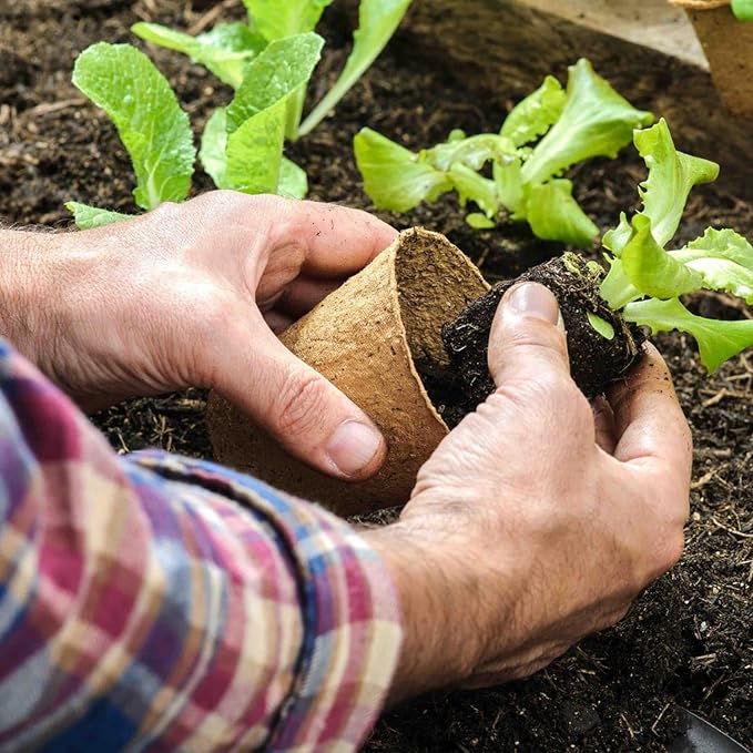 50 Pack 4 Inch Peat Pots, Biodegradable Seed Starter Pots with Drainage Holes for Indoor/Outdoor Gardening, Eco-Friendly Garden Germination Nursery Pots. (50, 4 Inch) Rootora