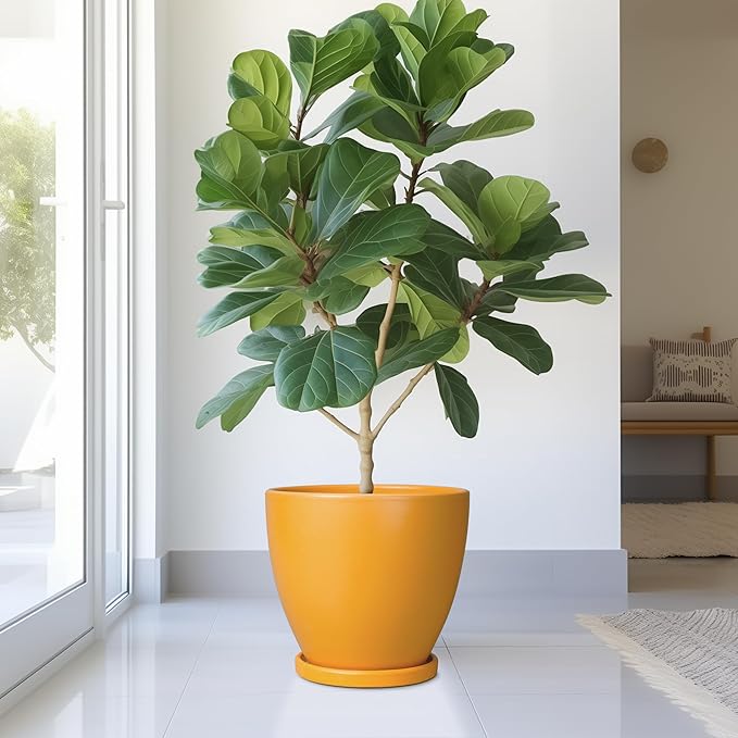 10 Inch Plant Pot - Ceramic Planter with Drainage Hole and Saucer, Modern Flower Pot, Round Planters for Indoor Plants, Home Patio Bathroom Porch Garden Living Room Decor, Orange EPFamily