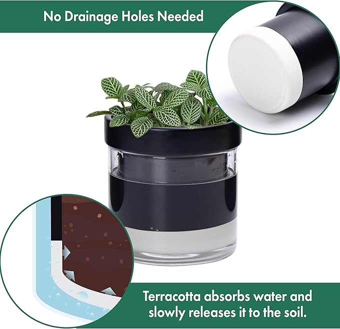 Phoenix Vine 4 Inch Self Watering Terracotta Planter, Black Terracotta Clay Pot with Glass Reservoir for Indoor Plants, Herbs, Flowers, Set of 1, 52-C-E-1 Phoenix+Vine