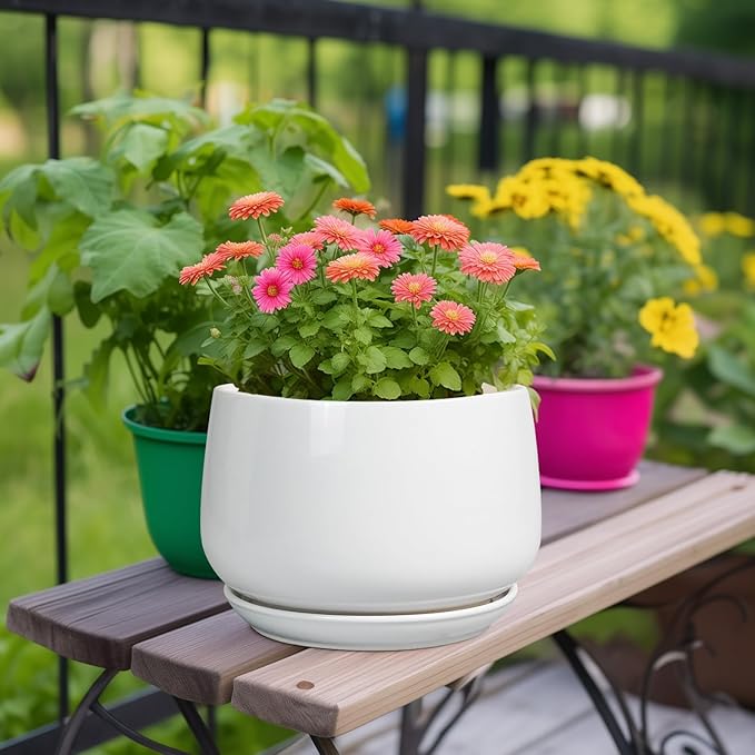 G EPGardening Ceramic Planter 9 Inch - Plant Pots with Drainage and Ceramic Saucer, Flower Pots for Indoor Plants, Modern Outdoor Planter, Living Room Decor, Gifts for Plant Lovers, White GEPGardening