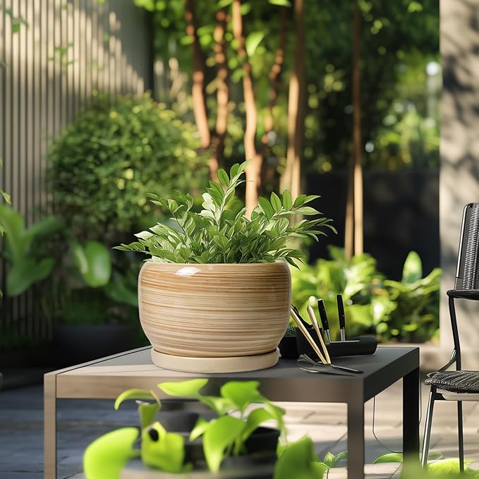 SQOWL Ceramic Plant Pot - 10 Inch Large Planter with Drainage Hole and Saucer, Round Modern Planter for Indoor Plant Outdoor, Decorative Ceramic Flower Pot, Porch Decor, Garden Gift for Women, Yellow SQOWL