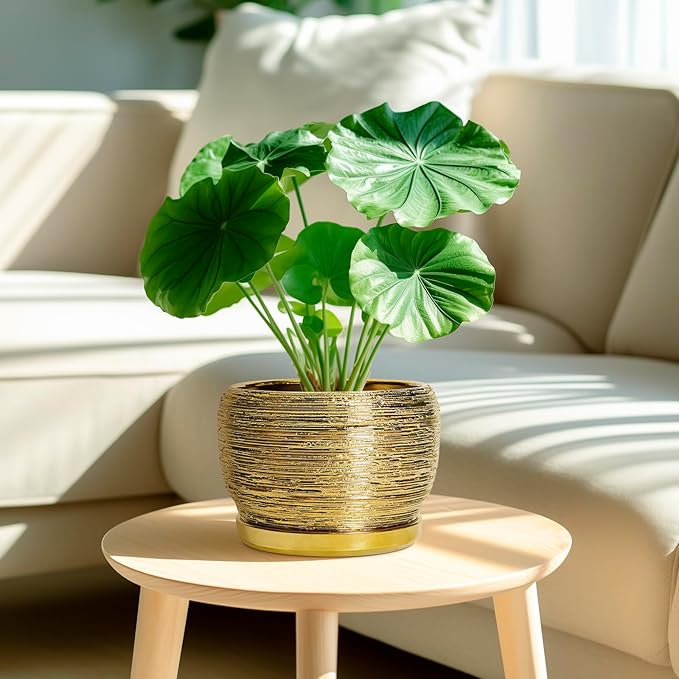 SQOWL Ceramic Flower Pot - 8 Inch Plant Pot Indoor Outdoor, Round Planter with Drainage Hole and Saucer, Decorative Modern Planter, Home Decor, Plant Lovers Gifts, Gold SQOWL