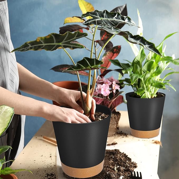 GARDIFE Plant Pots 8/7/6.5/6/5.5/5 Inch Self Watering Planters with Drainage Hole, Plastic Flower Pots, Nursery Planting Pot for All House Plants, African Violet, Flowers, and Cactus,Black GARDIFE