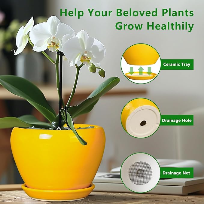 Ceramic Pot for Plants - 6 Inch Plant Pot Glaze Modern Decorative Round Planter with Drainage Hole and Saucer for Home Patio Room Office House Decor, Yellow Ceramicfor