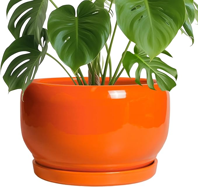 SQOWL Ceramic Planter - 10 Inch Plant Pot with Drainage Hole and Saucer, Round Modern Planter for Indoor Outdoor Plants, Decorative Large Flower Pot, House Decor, Gifts for Women Men, Orange SQOWL