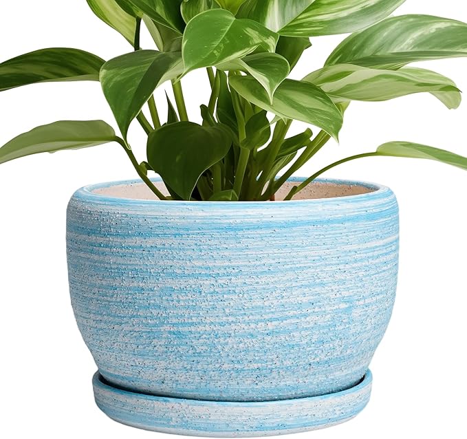 SQOWL Ceramic Planter - 8 inch Pot for Plants Indoor Outdoor, Modern Ceramic Flower Pot with Drainage Hole and Saucer, Decorative Round Planter, Home Office Decor, Plant Lovers Gifts, Blue SQOWL
