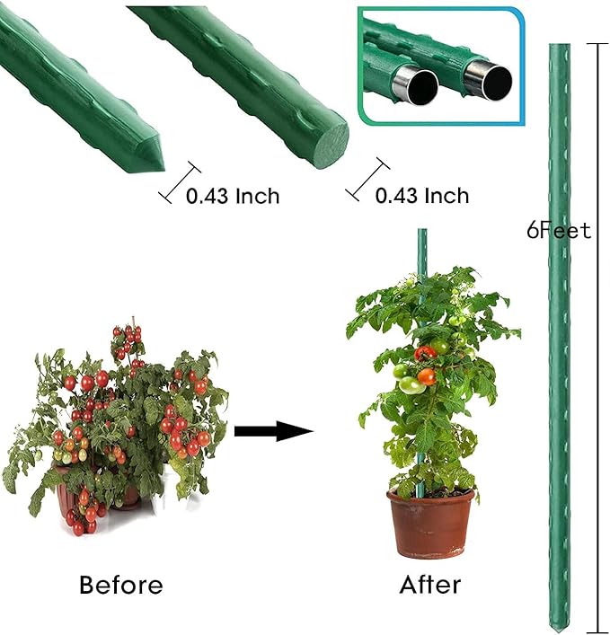 6Ft 72inch Garden Stakes Sturdy Plant Sticks Support Tomato Stakes for Vegetable,Pack of 20 Jxrhy