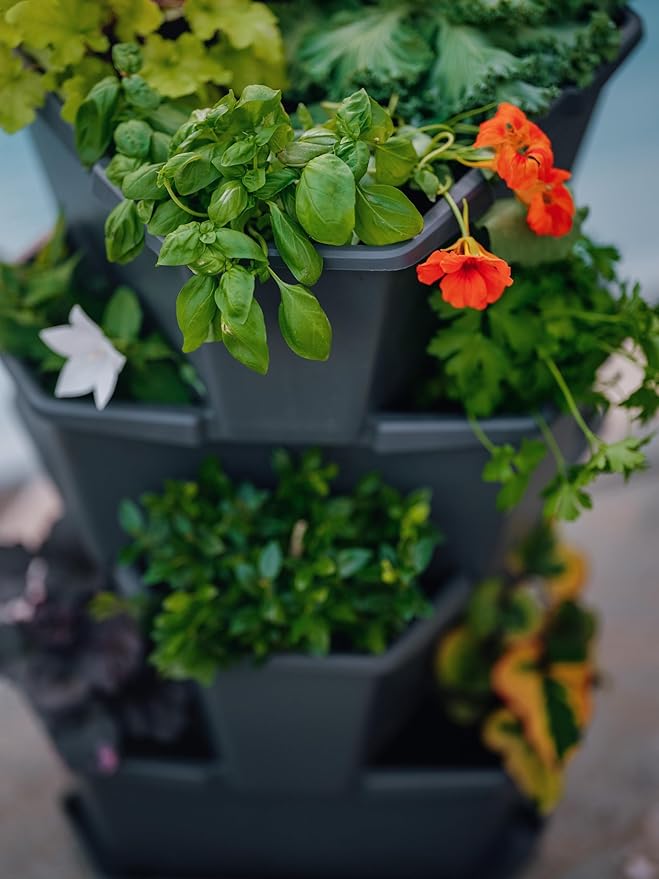 BUZZY Seeds Starter Stackable Vertical Planter – 4-Level Raised Garden Tower for Potatoes, Strawberries, Vegetables & Flowers (Gray) BUZZY