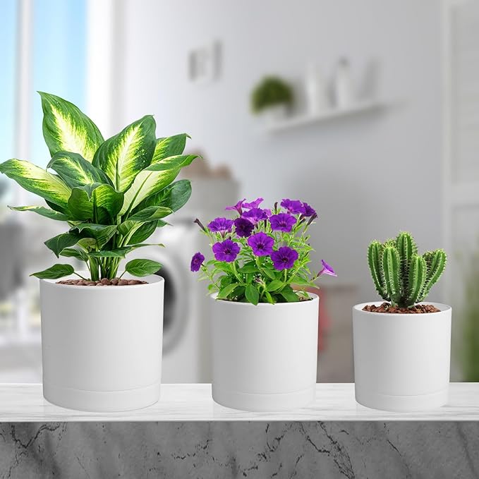 6/5/4 inch Flower Pots, Pack of 3 Cylinder Plant Pots for Small Indoor Outdoor Plants, Plastic Planters with Drainage Holes and Saucers for Garden Succulent Nursery House Plants, White Meowell