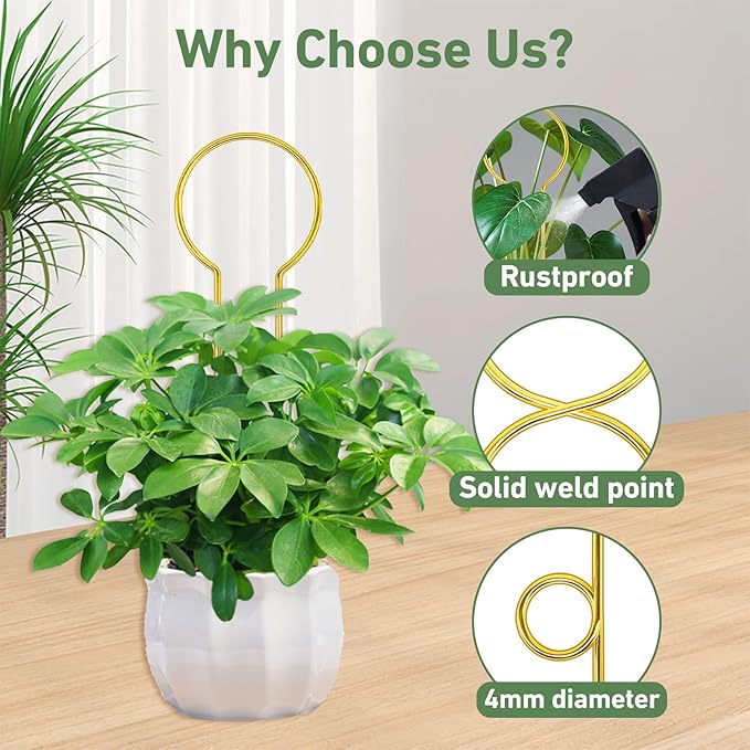 14.17in Plant Trellis Indoor, 4.2mm Dia Gold Small Trellis for Potted Plants, Metal Trellis for Climbing Plants Indoor Support for houseplant Hoya Photos Succulents Hostas, Plant Decor Xeeol