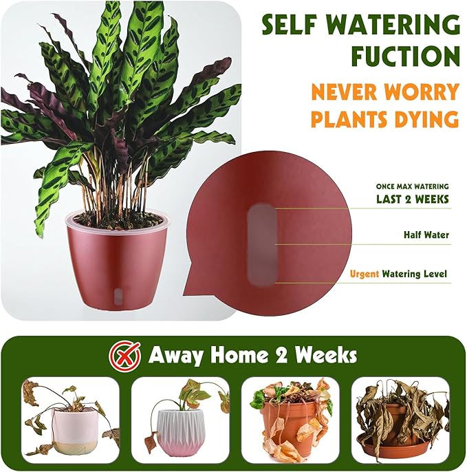 Self Watering Pots for Indoor Plants, 6-Pack 5'' Self Watering Planter with Drainage Holes, Small African Violet Pots with Water Indicator, Clear Wick Orchid Pot, Rose Gold KvyusFlourish