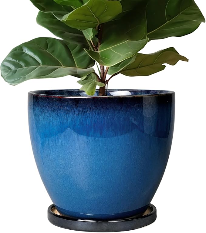 Ceramic Pots for Plants - 10 Inch Planter for Indoor Ourdoor Plants Modern Large Flower Pot with Drainage Hole and Saucer Room Home Office Garden Patio Porch Decor Blue EPFamily