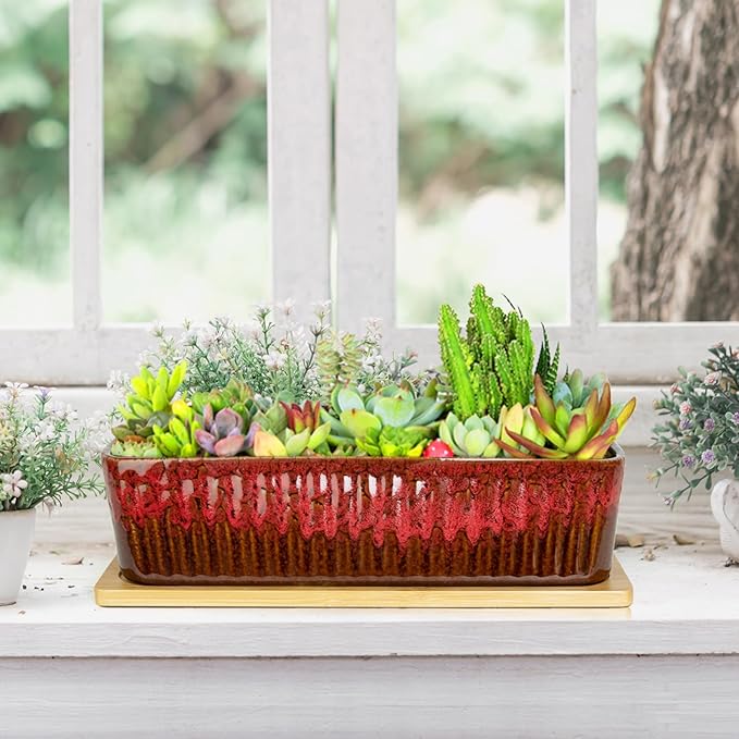 Succulent Pots - 12 Inch Large Succulent Planters with Drainage Tray, Window Sill Planter, Long Rectangle Ceramic Pots for Indoor Cactus Plants Shallow Bonsai Window Box for Home Garden Decor ARTKETTY