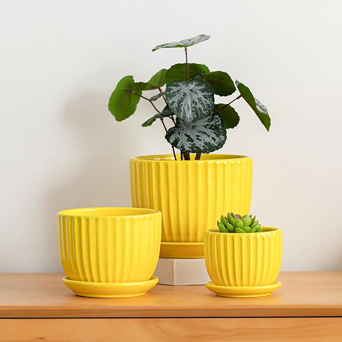 Ton Sin Ceramic Flower Pots,Yellow Plant Pots for Indoor Plants,4.1+5.1+6.5 inch Ceramic Plant Pots with Tray,Medium Indoor Planters for Aloe Cactus Decorative Pots with Drainage Hole (Set of 3) TonSin