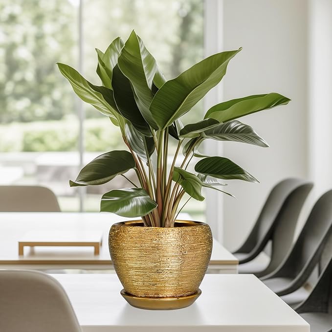 Indoor Plant Pot 6 Inch - Ceramic Pot for Plants Outdoor Planter with Drainage Hole and Saucer Round Decorative Planter Modern Flower Pot for Home Decor Gold Ceramicfor