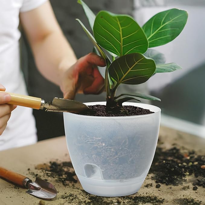 Self Watering Pots Set, 5 Pack 6 Inch Self Watering Pots for Indoor Outdoor Plants, Plastic Planter with Drainage Holes and Deep Reservoir for African Violet, Spider, Orchid IWNTWY