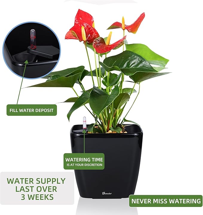 Dexceder 9x8 Self Watering Planter Indoor Outdoor, Inner Mat Design, Thickened Table Flower Plant Pot with Water Level Indicator (Black High Gloss) Dexceder