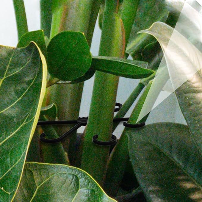 4Pcs Plastic Plant Climbers Stem Holders, Black Climbing Houseplant Stem Supports, 2 Sizes Reusable Flower Plant Stakes Trellis Hook for Indoor Plants Growth Accessories LUOTIVON