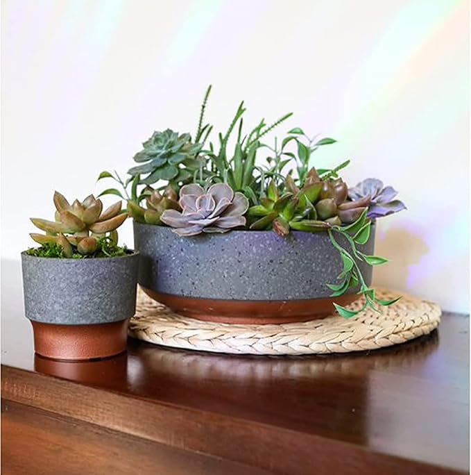 The HC Companies 8 Inch Round Plastic Succulent Capri Bowl 8"x8"x3" in Faux Concrete Color with Copper Band TheHCCompanies